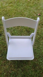 34883 . 1711355991 Chairs White Resin