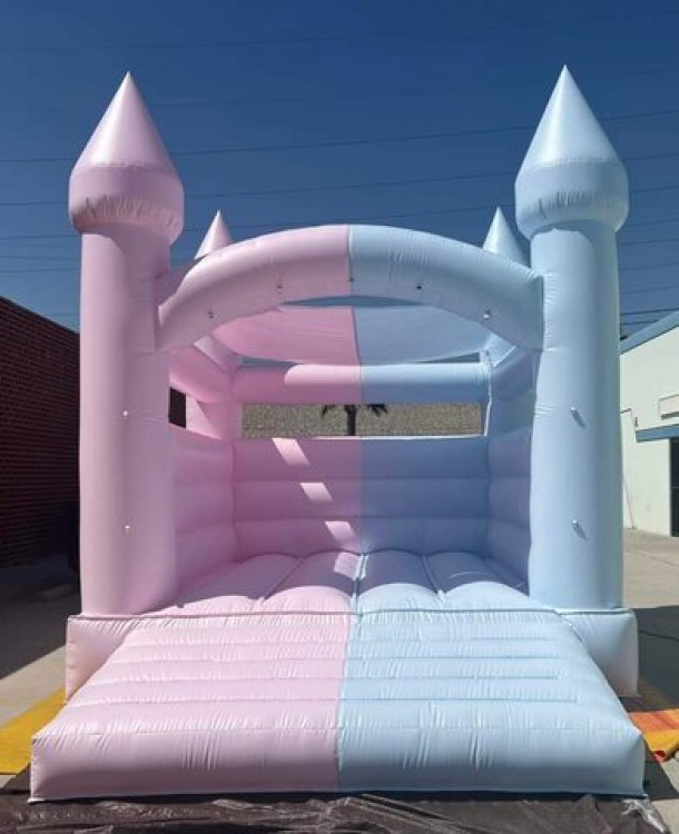 Pink & Blue Gender Reveal Bounce House